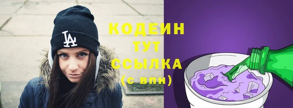 PSILOCYBIN Каменка