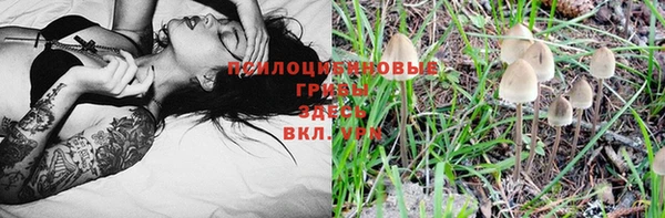 спиды Инта