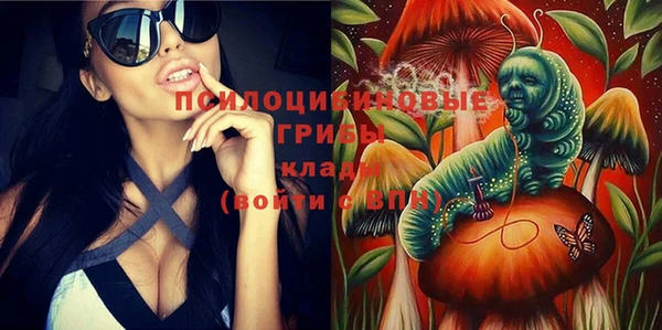 спиды Инта