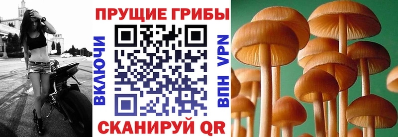 Галлюциногенные грибы MAGIC MUSHROOMS  Купить  Жуков 