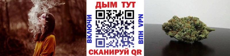 Купить  Жуков  Шишки марихуана Amnesia 